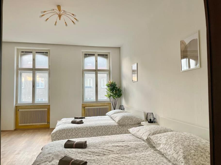 110 M2 Sunny & Central *
