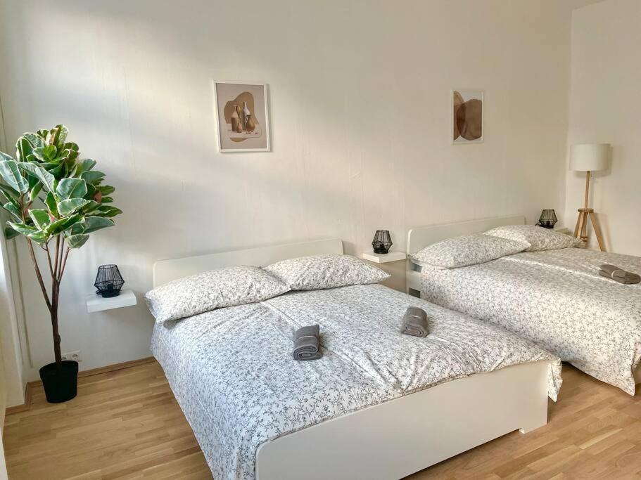 Apartment 110 M2 Sunny & Central