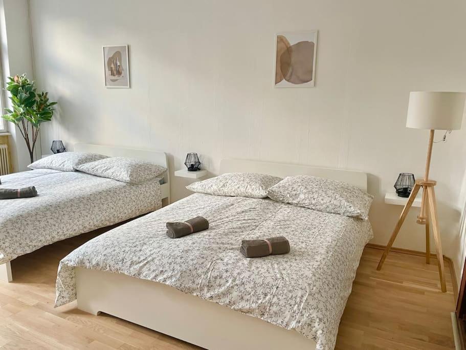 110 M2 Sunny & Central Apartment