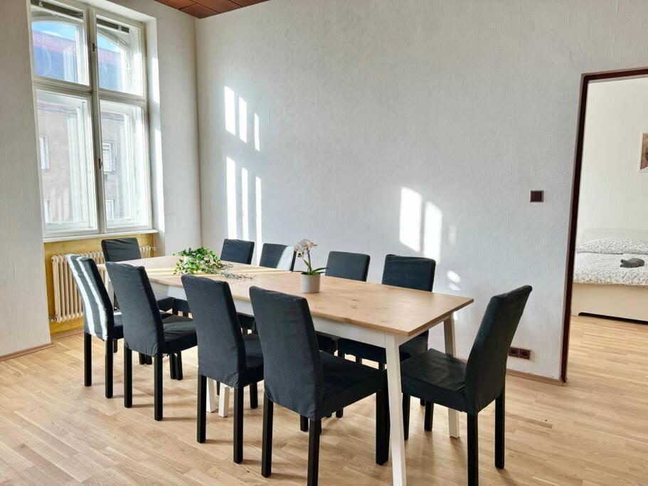 110 M2 Sunny & Central Apartment Wien